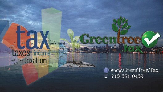 greentrree Corporate Tax Preparation